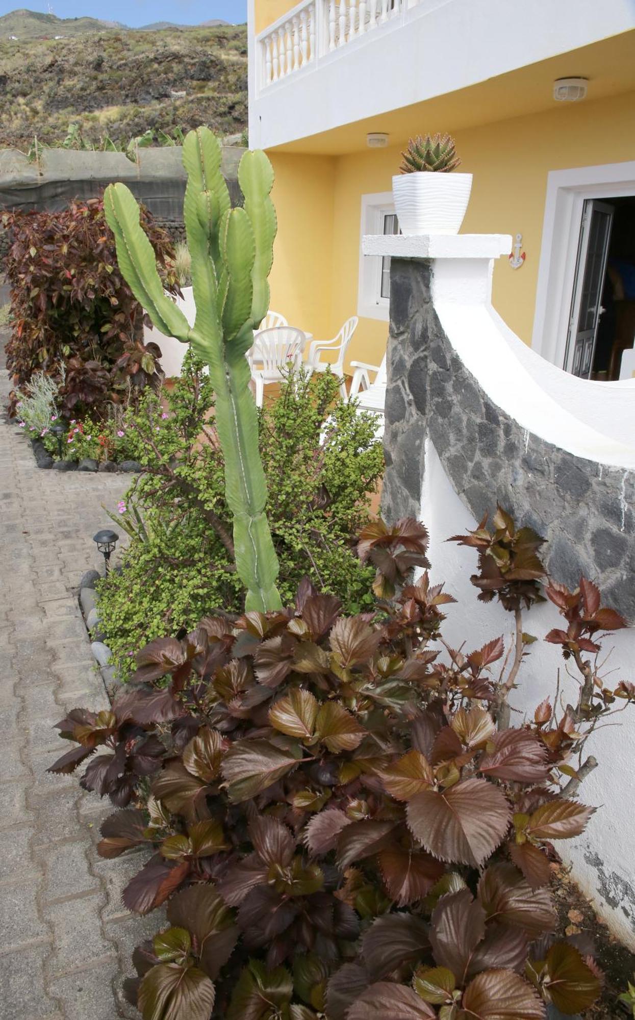 Apartamento Vivienda Miramar Mazo Exterior foto